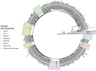 Monitoring the Microevolution of Salmonella enterica in Healthy Dairy Cattle Populations at the Individual Farm Level Using Whole-Genome Sequencing